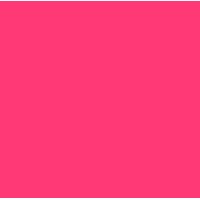 Jan Pautsch logo - Similar company to Latitude Executive Consulting