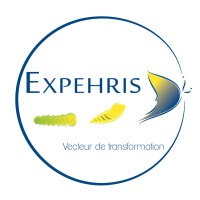EXPEHRIS Consulting logo - Similar company to Twd Services