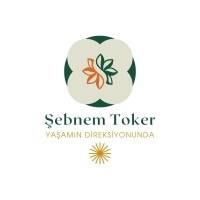 Yaşamın Direksiyonunda logo - Similar company to Postlab Digital Akademi̇