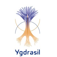 Stichting Ygdrasil logo - Similar company to Nlinvesteert