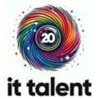 IT Talent logo - Similar company to Remote It Talent