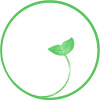 Gratitude Greens
