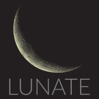 Lunate Consulting logo - Similar company to Lunate Health