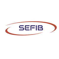 SEFIB S.R.L. logo - Similar company to Fastrent Spa