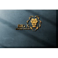 Big X Export Import logo - Similar company to Elecload India
