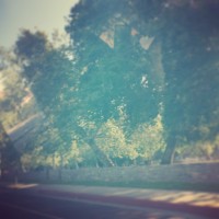 Roni Deutch Tax Center