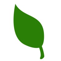 causeleaf
