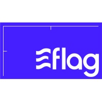 Eflag Analytics Pvt. Ltd. logo - Similar company to Microshopify.Com