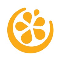 Swonk logo - Similar company to Fbo Consulting & Technical Services