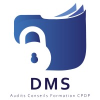 DATA MANAGEMENT SERVICES (Conseils DCP) logo - Similar company to Groupe Dpse - Data Privacy Solution Expert