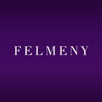 Felmeny logo - Similar company to Ispark Dataconnect Private Limited