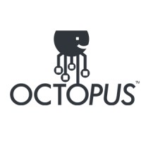 Octopus Retail Management logo - Similar company to Eleos Web Private Limited