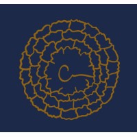 Chatora logo - Similar company to Cinnamon Bazaar