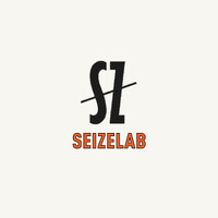 SeizeLab logo - Similar company to Collab For Love