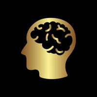 Genius Nomads logo - Similar company to The S.O.S. Advantage