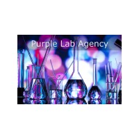 Purple Lab Agency logo - Similar company to Purple Labs