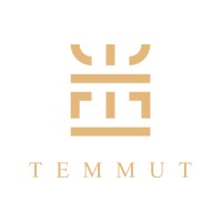 TEMMUT logo - Similar company to Suttonwillis