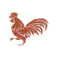 TiredCity logo - Similar company to Ferol