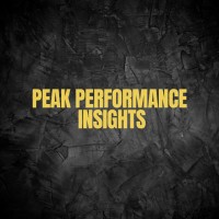 PeakPerformance Insights logo - Similar company to Artech Welders Pvt Ltd