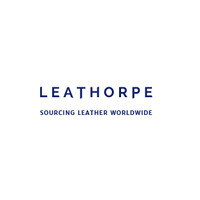 Leathorpe Ltd logo - Similar company to Bluesebe