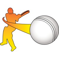 Infinity Cricket logo - Similar company to Incites.Ai