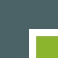 SANAE logo - Similar company to Nexonera