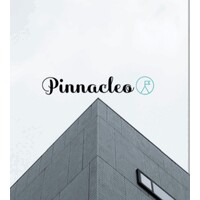 Pinnacleo Pvt Ltd logo - Similar company to Visual It Solution