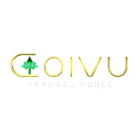 Nature Spirit Oy logo - Similar company to Osuuskunta Maitokolmio