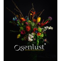 Ogenlust logo - Similar company to Oogenlust