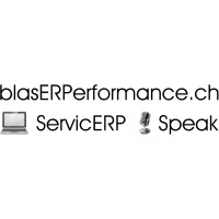 blasERPerformance.ch logo - Similar company to Wick Audio Ag