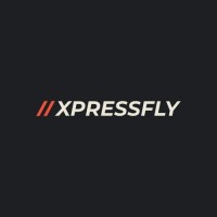 XPRESSFLY LOGISTICS SOLUTIONS PVT LTD logo - Similar company to Inxpress Mumbai