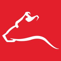 Progressive Dairy – Canada logo - Similar company to Holstein Canada