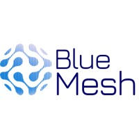 Bluemesh logo - Similar company to Pbconecta | Marketing & Estratégia