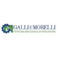 Galli & Morelli s.r.l. logo - Similar company to Luperini Qualified Tech & Service