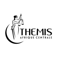 THEMIS AFRIQUE CENTRALE logo - Similar company to Ets Ifpe