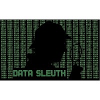 Data Sleuth logo - Similar company to Wildfire Manage