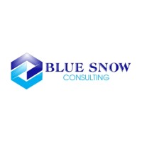 Blue Snow Consulting logo - Similar company to Blue Snow Consulting & Engineering