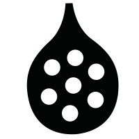 Wildseed Health logo - Similar company to The Pond Psychology Practice