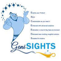 geniSIGHTS INC logo - Similar company to Aaum Research And Analytics Pvt Ltd