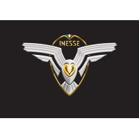 INESSE CORPORATION LTD logo - Similar company to Arved Sistemi Modulari Srl