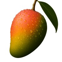 Mango Showers logo - Similar company to Printworks