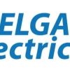Delgadillo Electric logo - Similar company to Oconomowoc Area School District