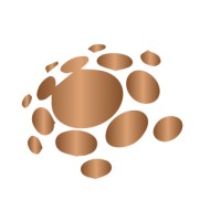 PLEXUS GLOBAL EVENTS logo - Similar company to Cyberforge Global