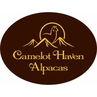Alpaca Shop logo - Similar company to Atatie Studio