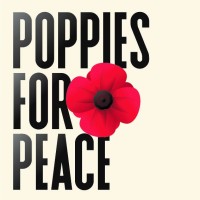 Poppies For Peace logo - Similar company to Andibee Ltd