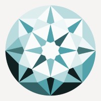 Timantti Interim Management logo - Similar company to Vrij In Culemborg