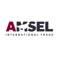 AMSEL logo - Similar company to Belcomex