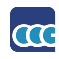 Central Consulting Group logo - Similar company to Elevia Software