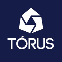 Tórus Investimentos logo - Similar company to Squad Capital Investimentos
