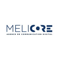 MELICORE SARL logo - Similar company to Expert Skills